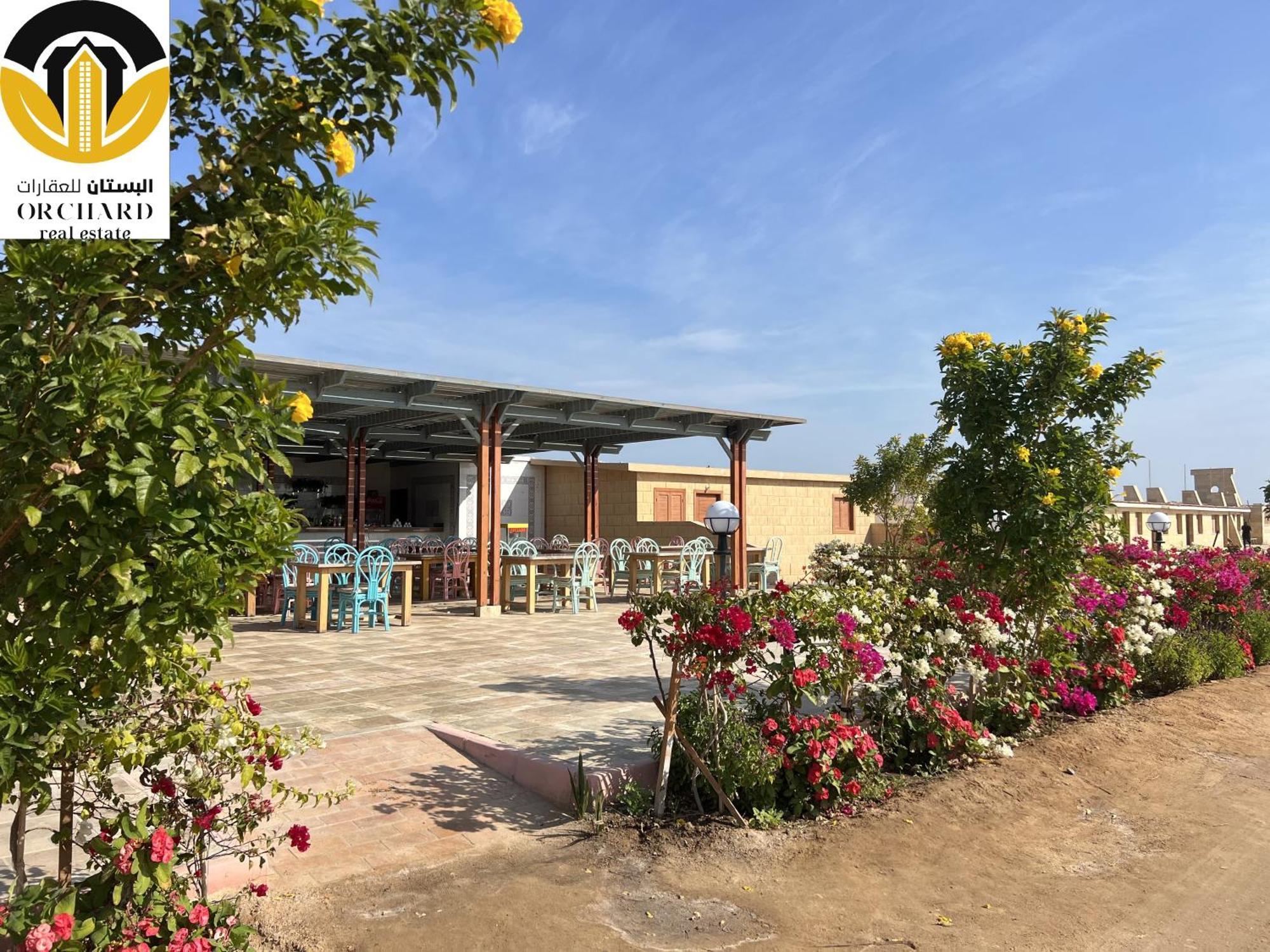 Princess Resort 462 洪加達 外观 照片